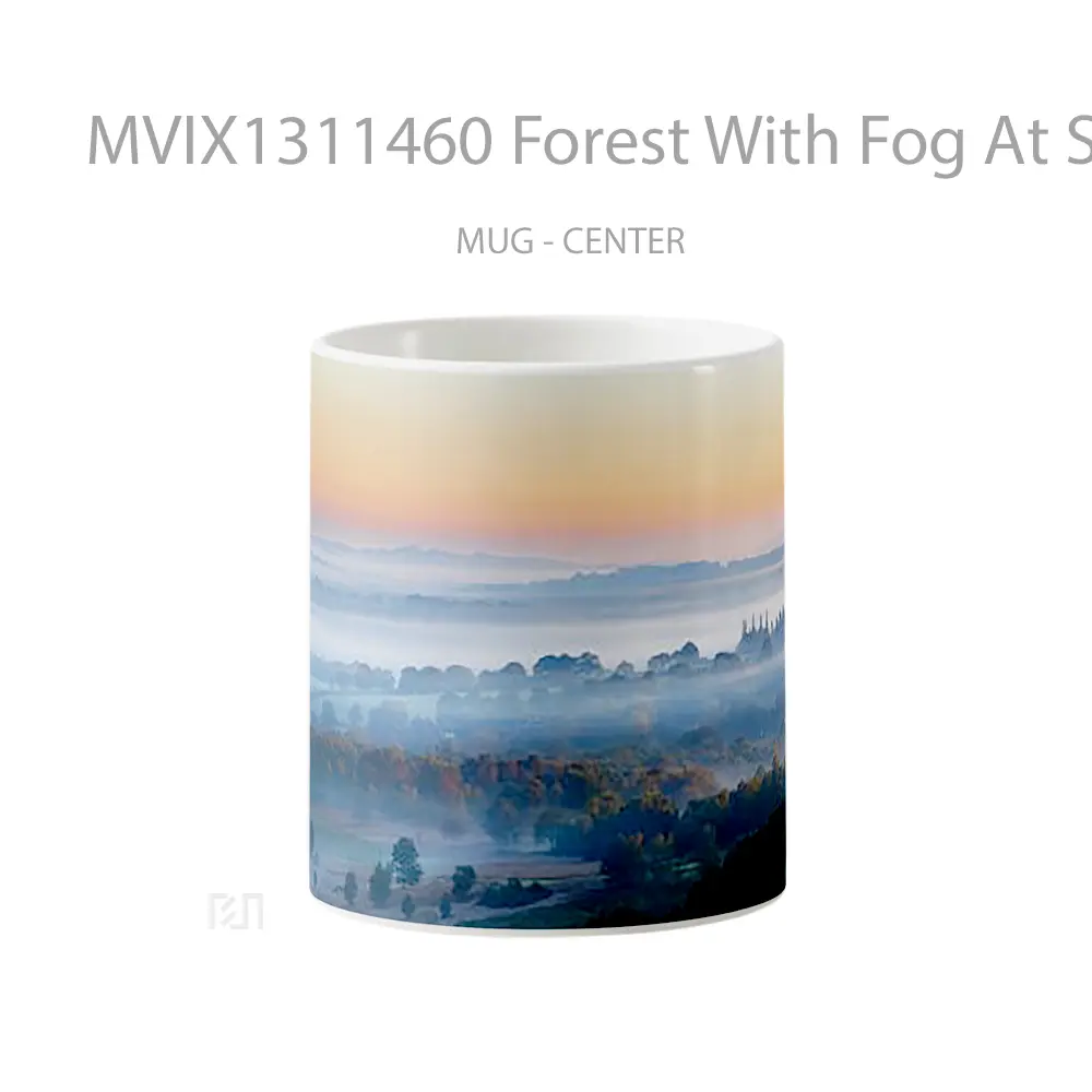 Mug Forest With Fog At Sunset Gelas Pemandangan Alam
