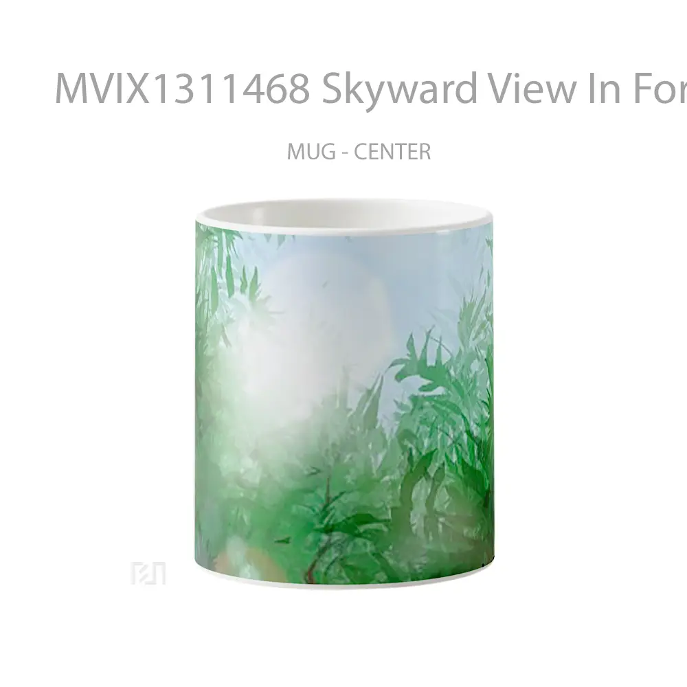 Mug Skyward View In Forest Gelas Pemandangan Alam