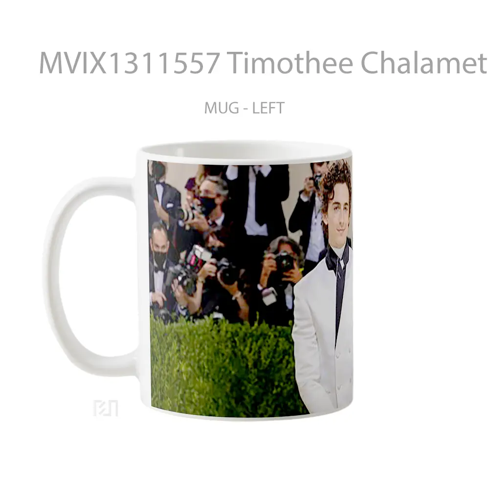 Mug Timothee Chalamet Met Gala 2021 Gelas Keramik Unik - All-side / Desain