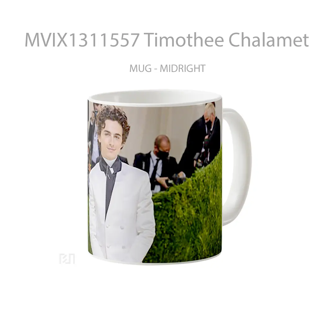 Mug Timothee Chalamet Met Gala 2021 Gelas Keramik Unik - All-side / Desain