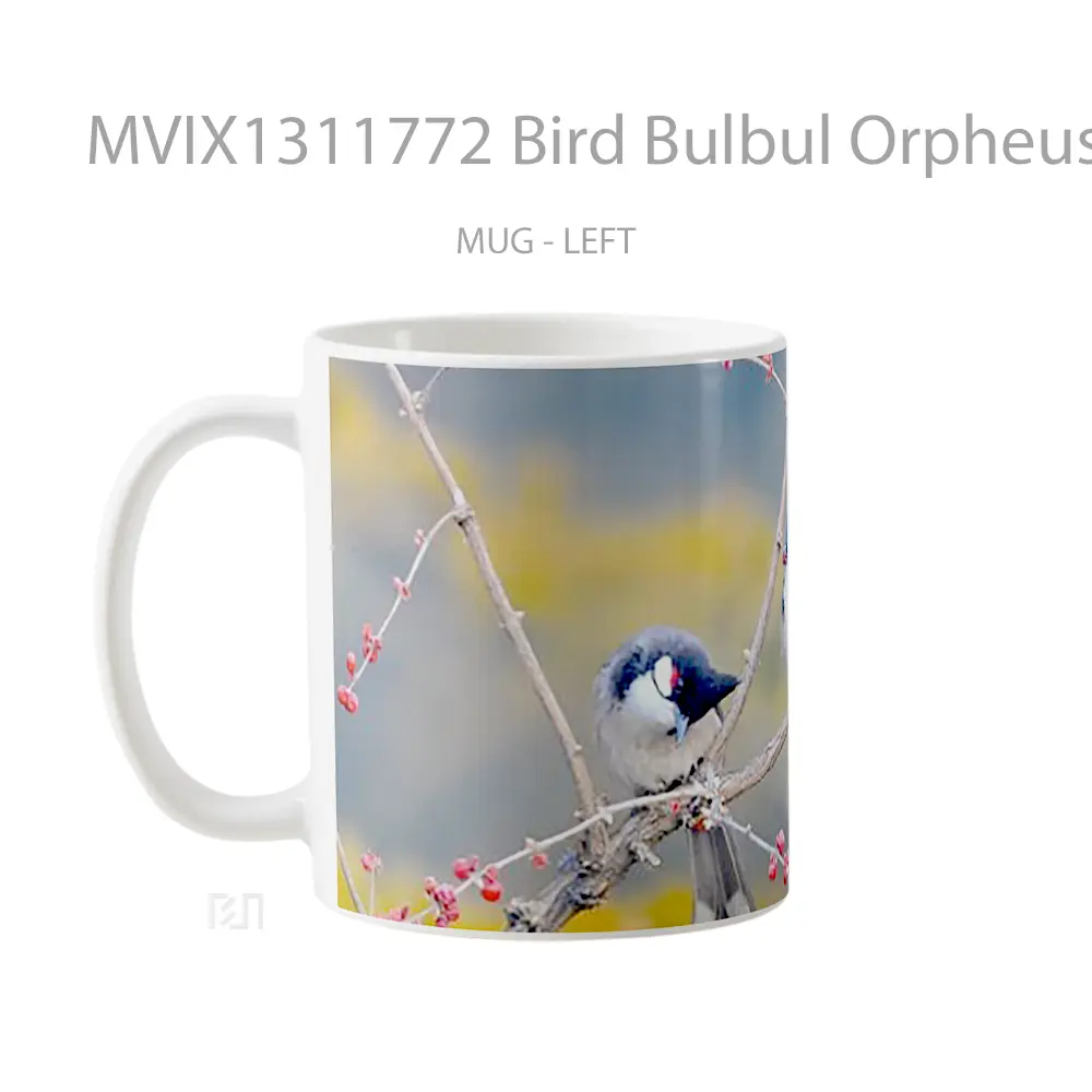 Mug Bird Bulbul Orpheus Gelas Hewan Lucu - All-side / Desain