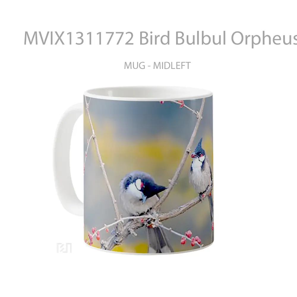 Mug Bird Bulbul Orpheus Gelas Hewan Lucu - All-side / Desain