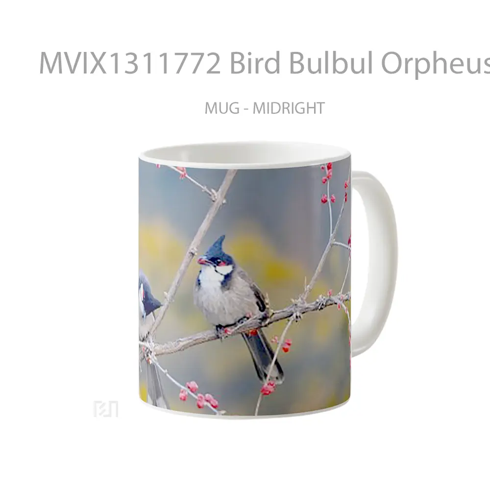 Mug Bird Bulbul Orpheus Gelas Hewan Lucu - All-side / Desain