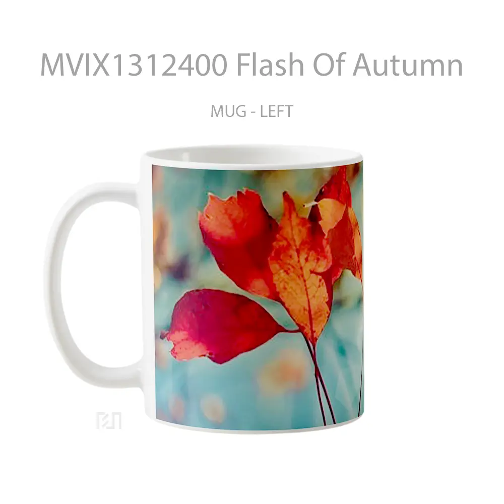Mug Flash Of Autumn Gelas Superhero - All-side / Desain