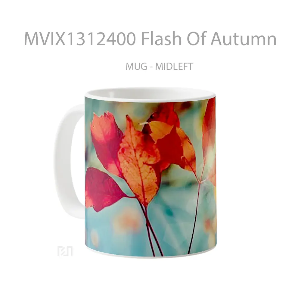 Mug Flash Of Autumn Gelas Superhero - All-side / Desain