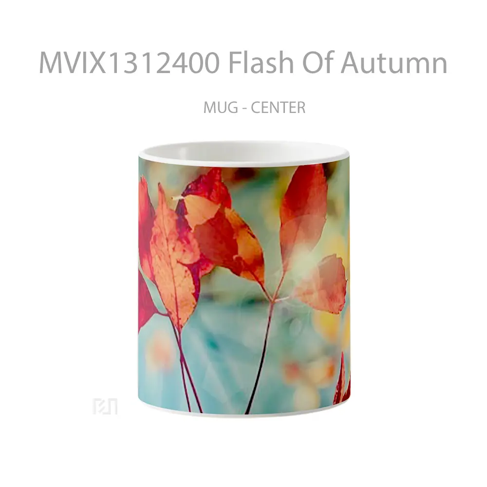 Mug Flash Of Autumn Gelas Superhero