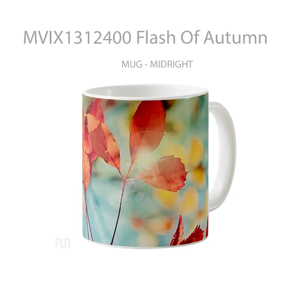 Mug Flash Of Autumn Gelas Superhero - All-side / Desain
