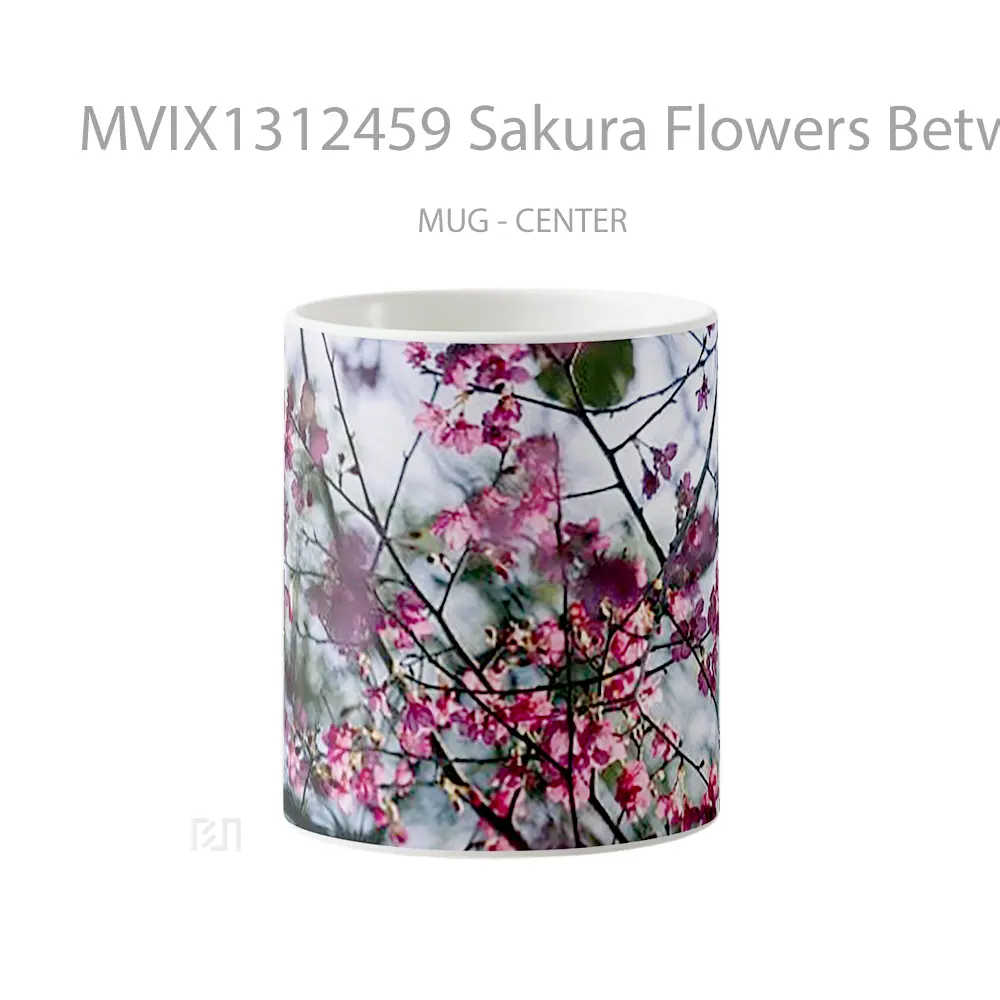 Mug Sakura Flowers Between Branches Gelas Pemandangan Alam