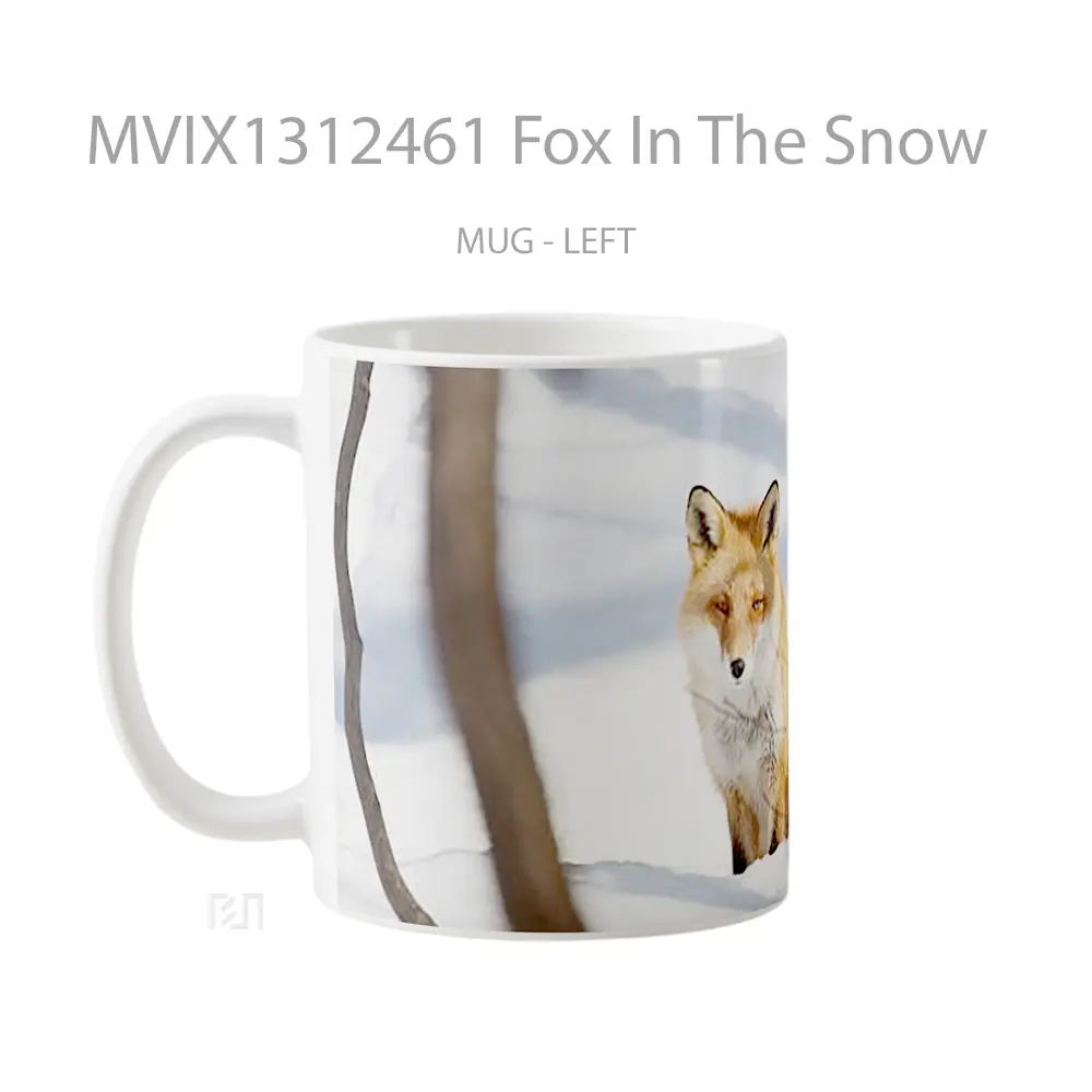 Mug Fox In The Snow Gelas Hewan Lucu - All-side / Desain