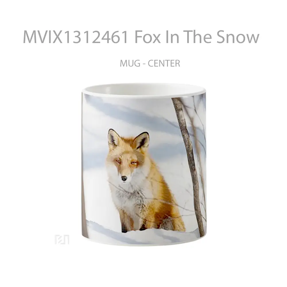 Mug Fox In The Snow Gelas Hewan Lucu