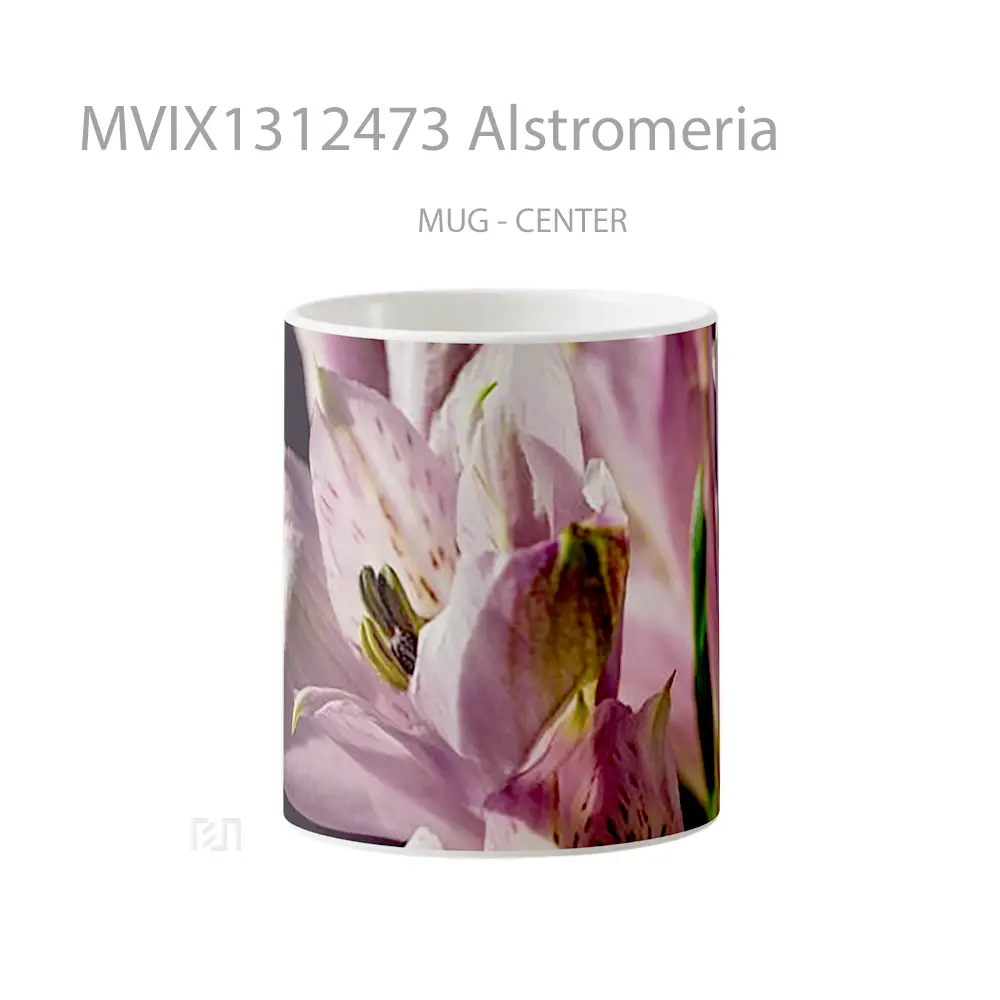 Mug Alstromeria Gelas Keramik Unik