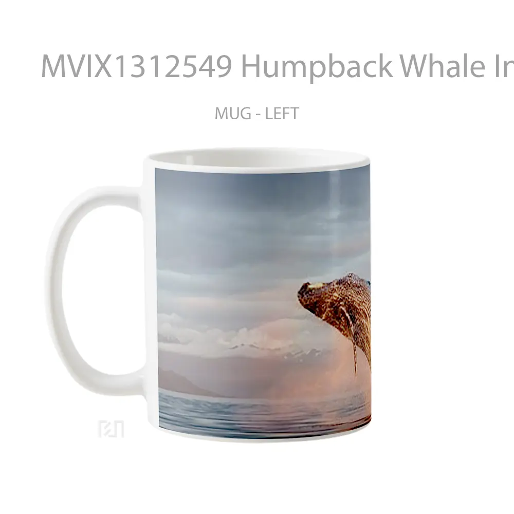 Mug Humpback Whale In The Ocean Gelas Hewan Lucu - All-side / Desain