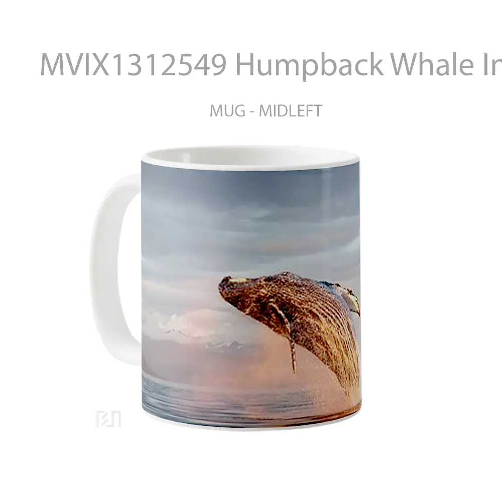 Mug Humpback Whale In The Ocean Gelas Hewan Lucu - All-side / Desain
