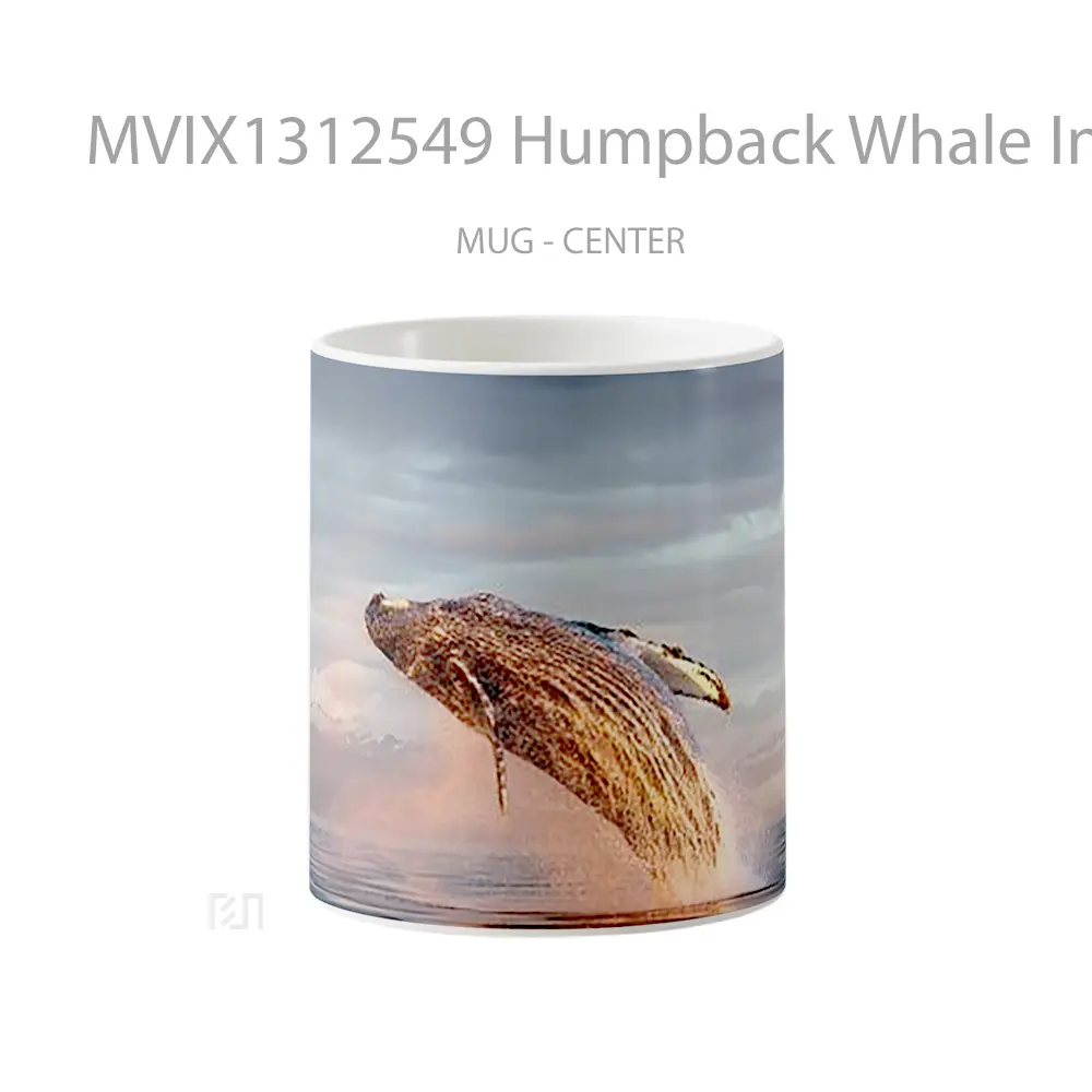 Mug Humpback Whale In The Ocean Gelas Hewan Lucu
