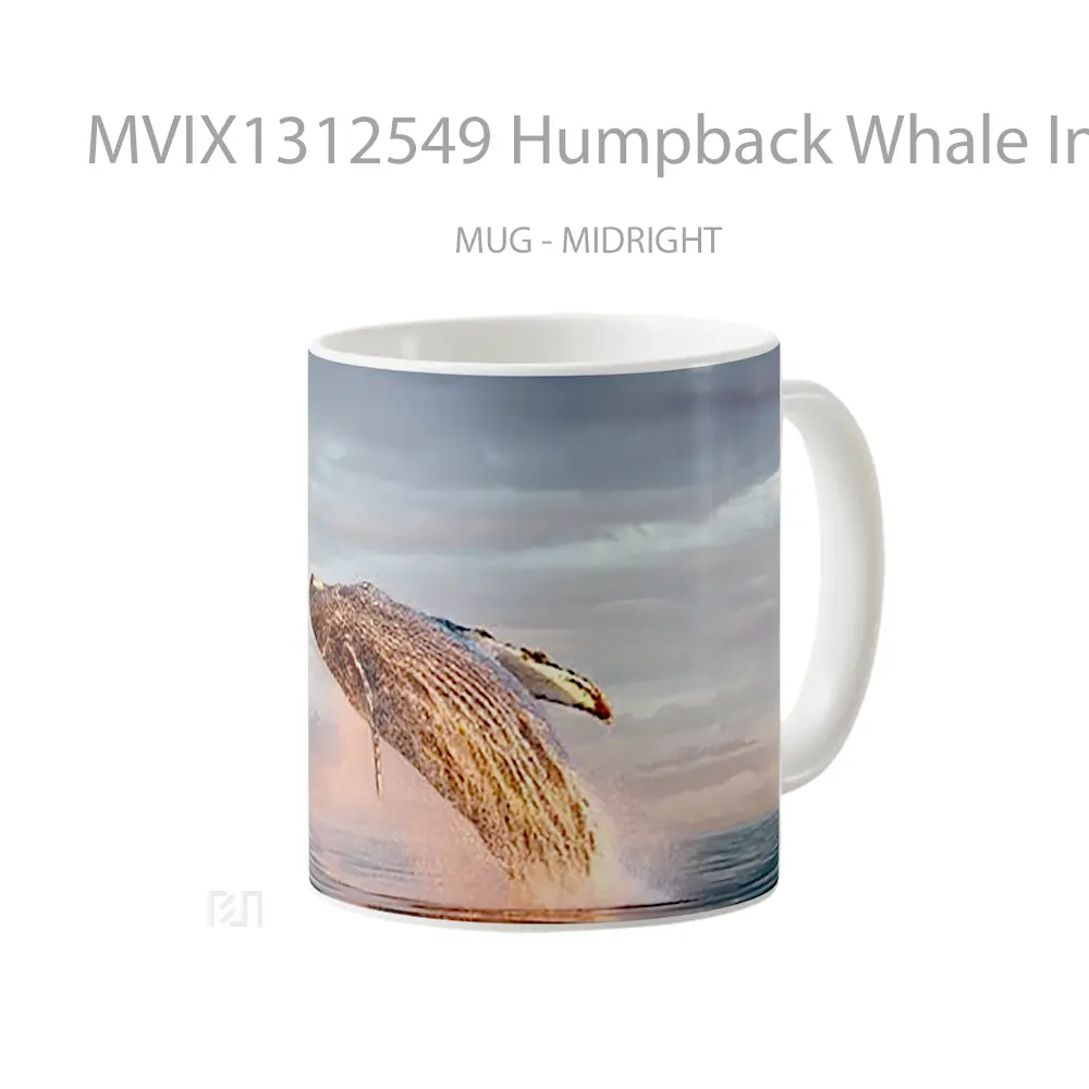 Mug Humpback Whale In The Ocean Gelas Hewan Lucu - All-side / Desain