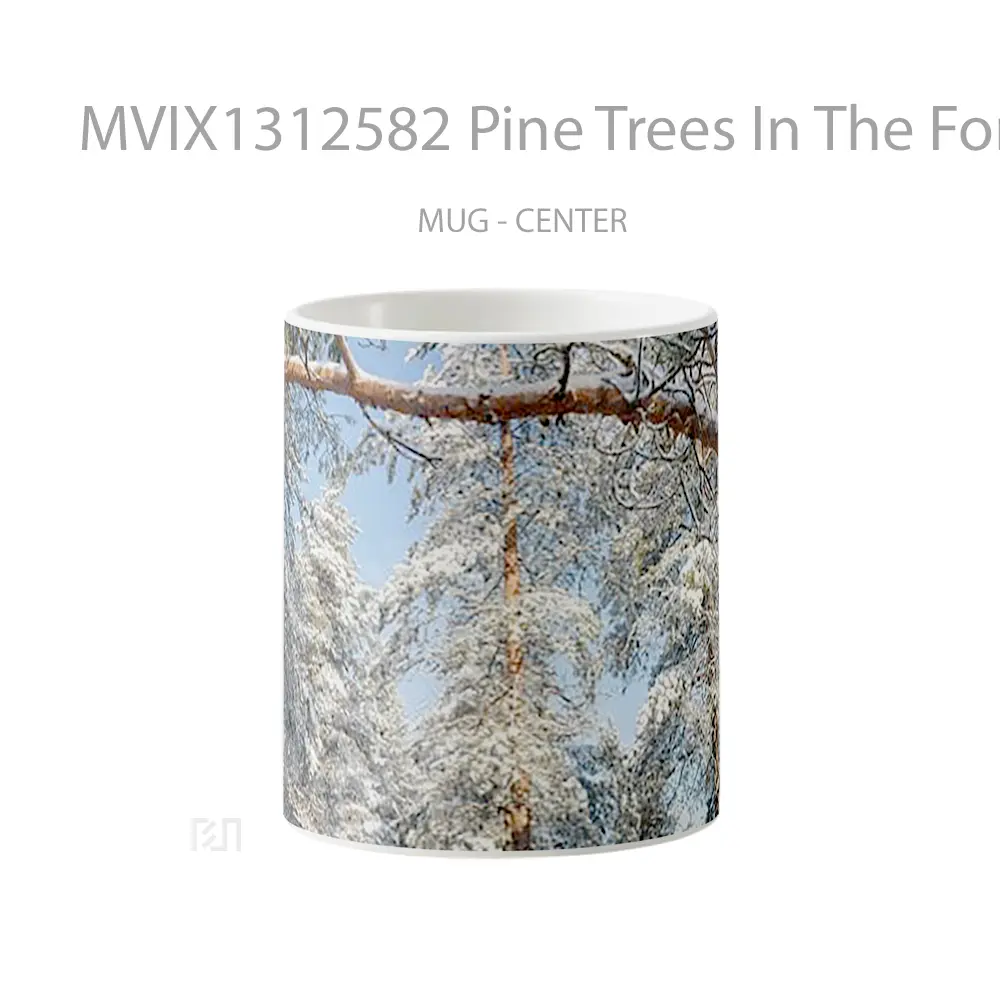 Mug Pine Trees In The Forest During The Winter Gelas Pemandangan Alam