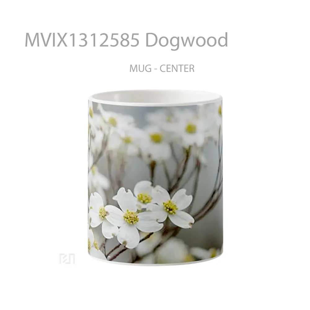 Mug Dogwood Gelas Keramik Unik