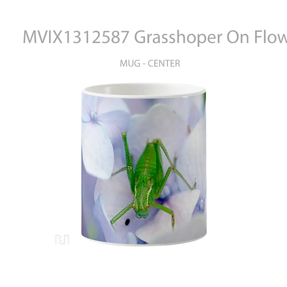 Mug Grasshoper On Flowers Gelas Pemandangan Alam