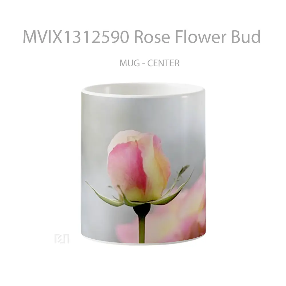 Mug Rose Flower Bud Gelas Pemandangan Alam