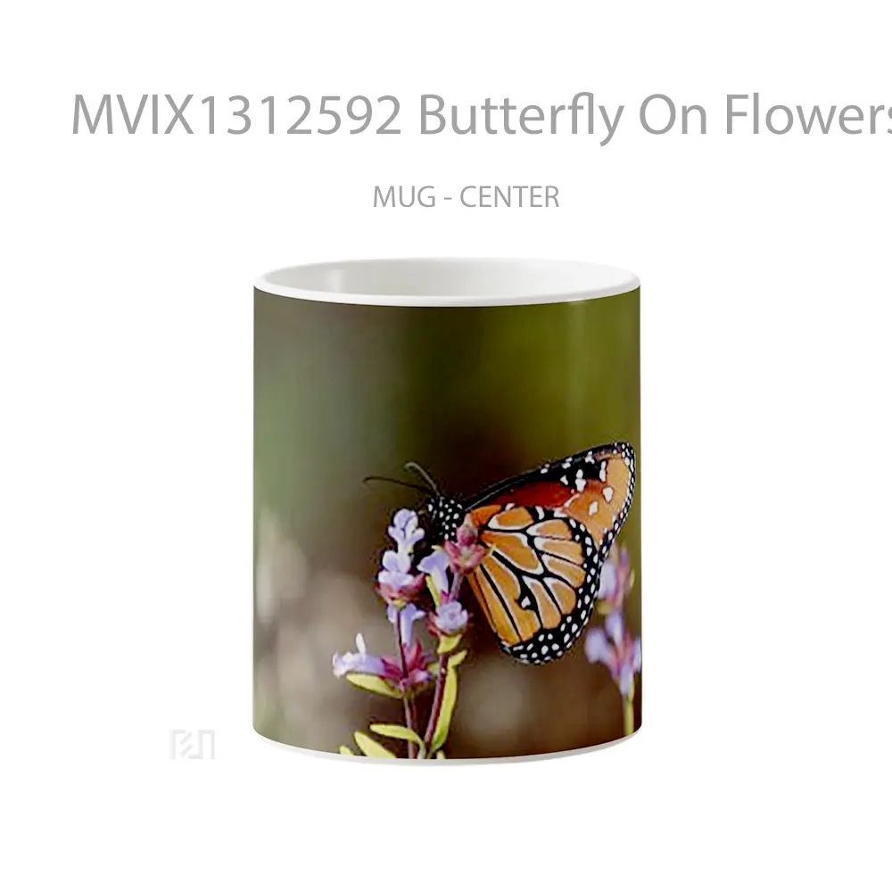 Mug Butterfly On Flowers Gelas Hewan Lucu
