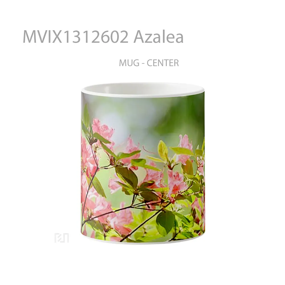 Mug Azalea Gelas Keramik Unik