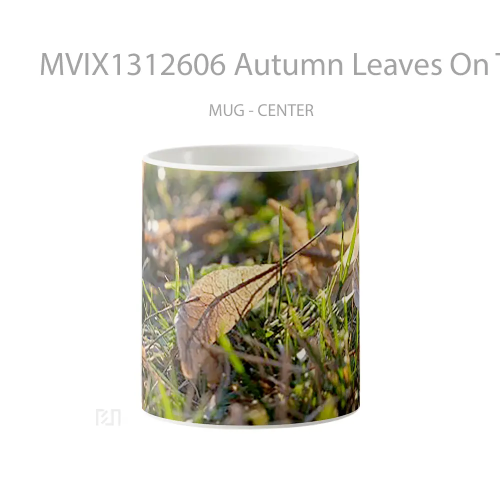 Mug Autumn Leaves On The Grass Gelas Keramik Unik