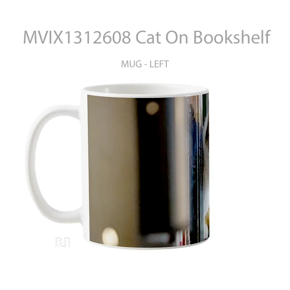 Mug Cat On Bookshelf Gelas Hewan Lucu - All-side / Desain