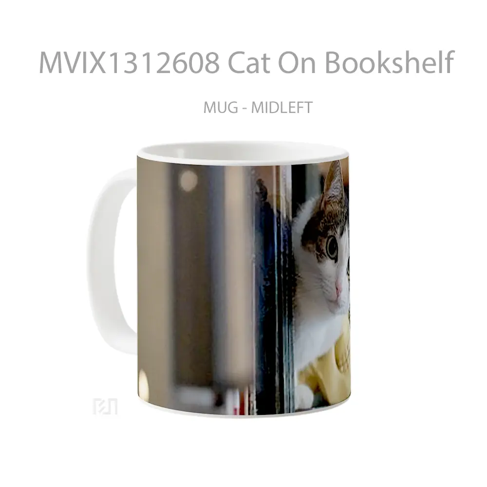 Mug Cat On Bookshelf Gelas Hewan Lucu - All-side / Desain