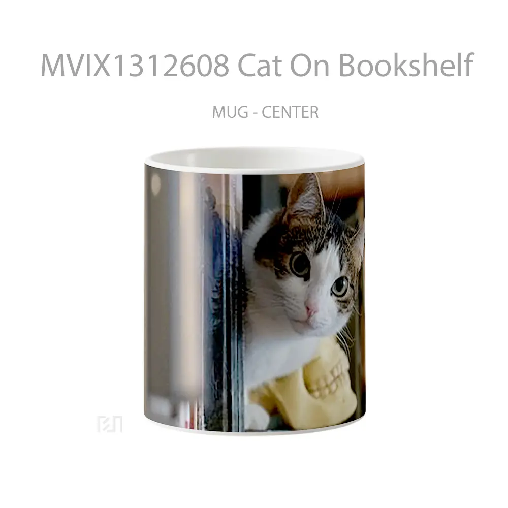 Mug Cat On Bookshelf Gelas Hewan Lucu