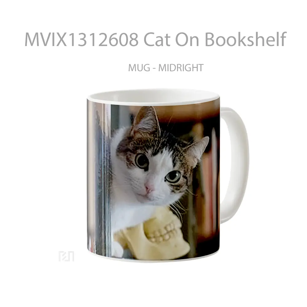 Mug Cat On Bookshelf Gelas Hewan Lucu - All-side / Desain