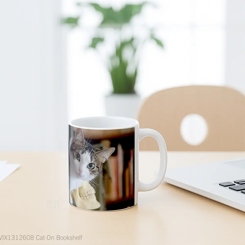 Mug Cat On Bookshelf Gelas Hewan Lucu - All-side / Desain