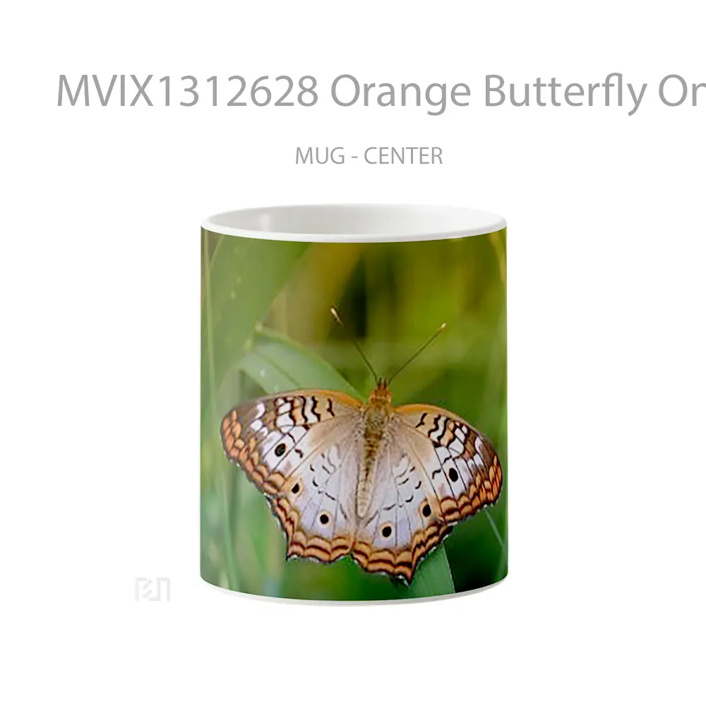Mug Orange Butterfly On Grass Gelas Hewan Lucu