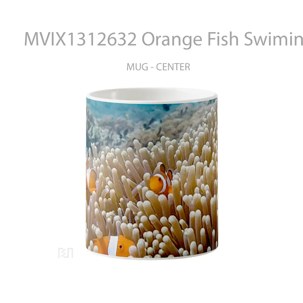 Mug Orange Fish Swiming Gelas Hewan Lucu
