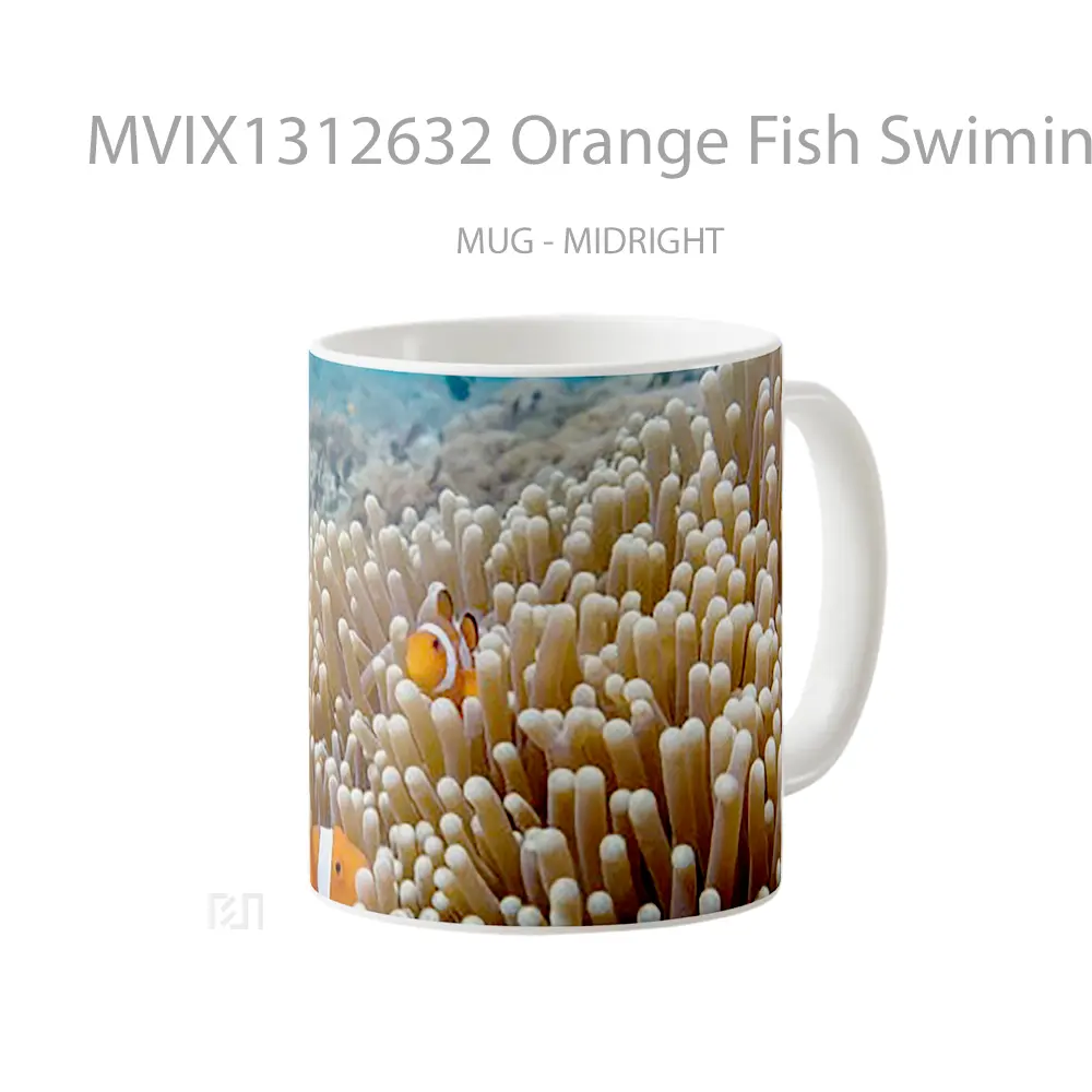 Mug Orange Fish Swiming Gelas Hewan Lucu - All-side / Desain