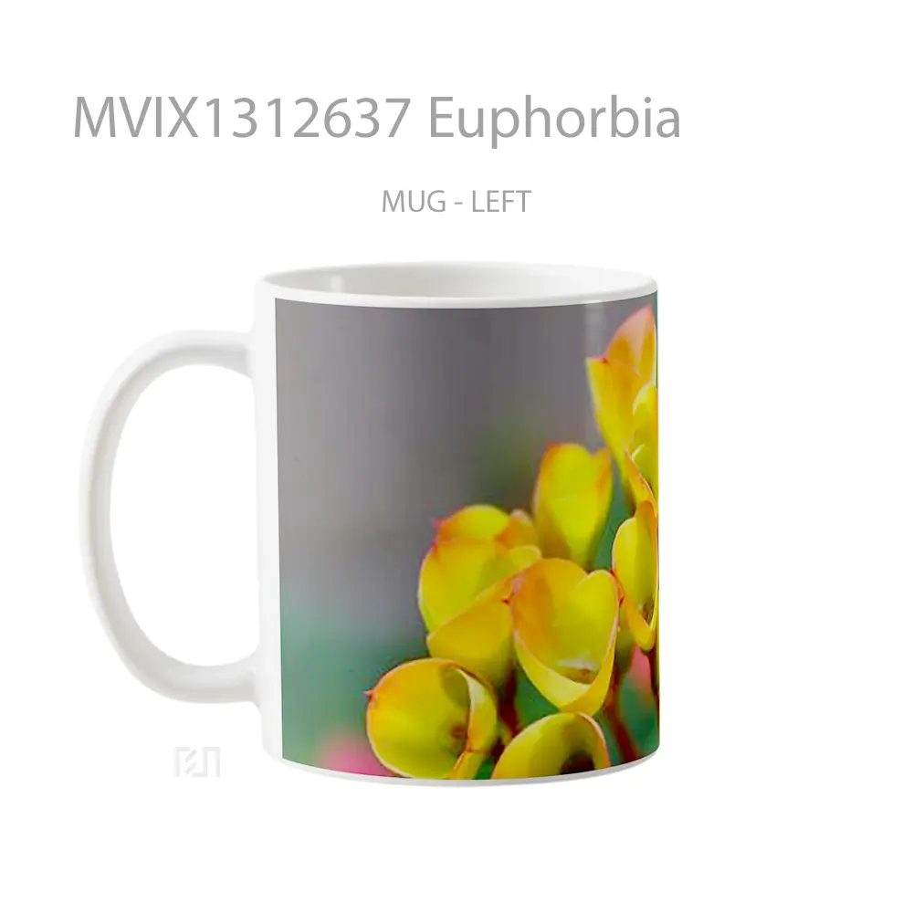 Mug Euphorbia Gelas Keramik Unik - All-side / Desain
