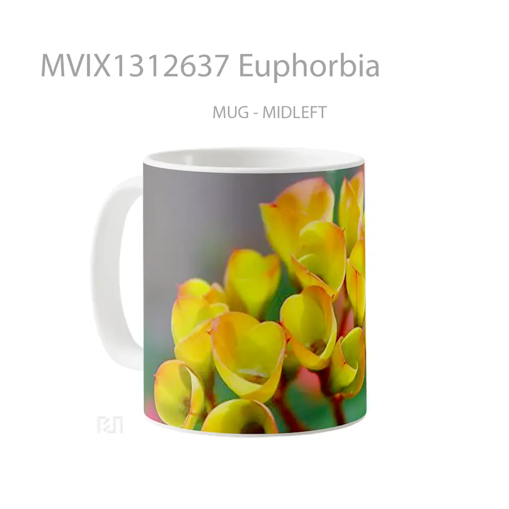 Mug Euphorbia Gelas Keramik Unik - All-side / Desain