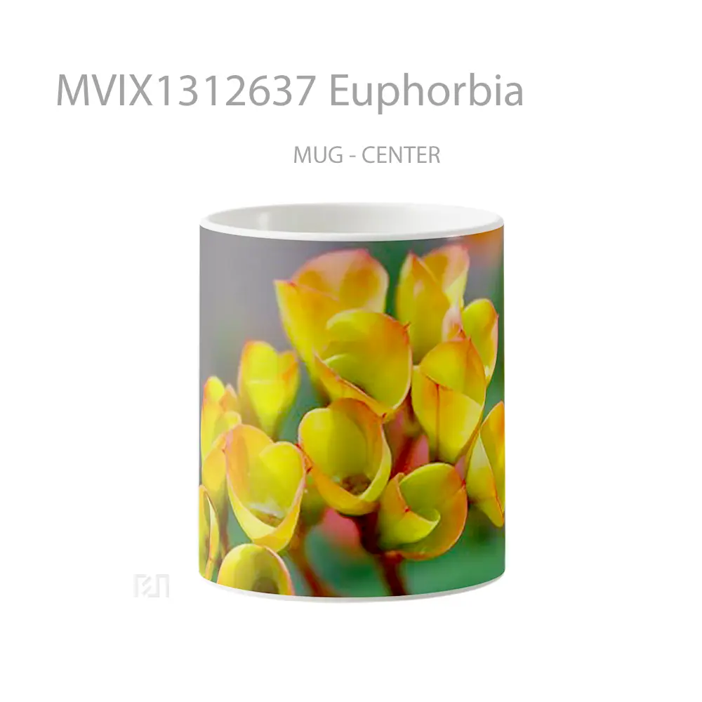 Mug Euphorbia Gelas Keramik Unik
