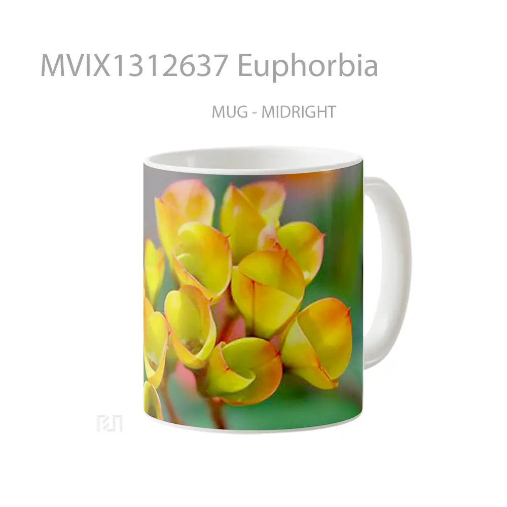 Mug Euphorbia Gelas Keramik Unik - All-side / Desain