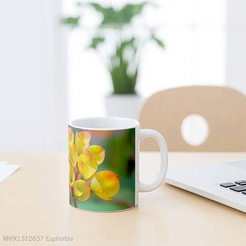 Mug Euphorbia Gelas Keramik Unik - All-side / Desain