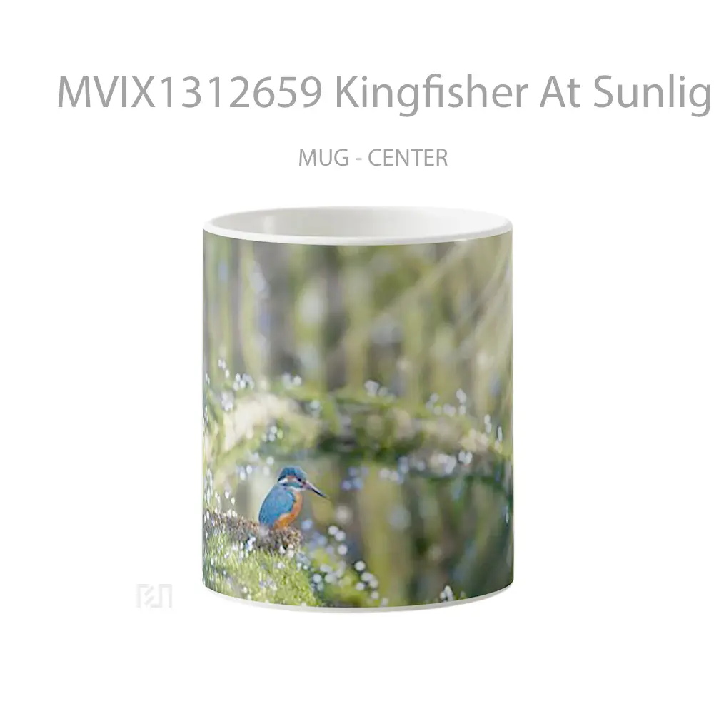 Mug Kingfisher At Sunlight Gelas Keramik Unik