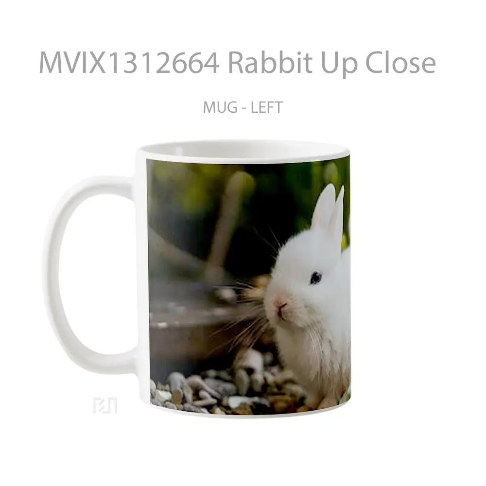 Mug Rabbit Up Close Gelas Hewan Lucu - All-side / Desain