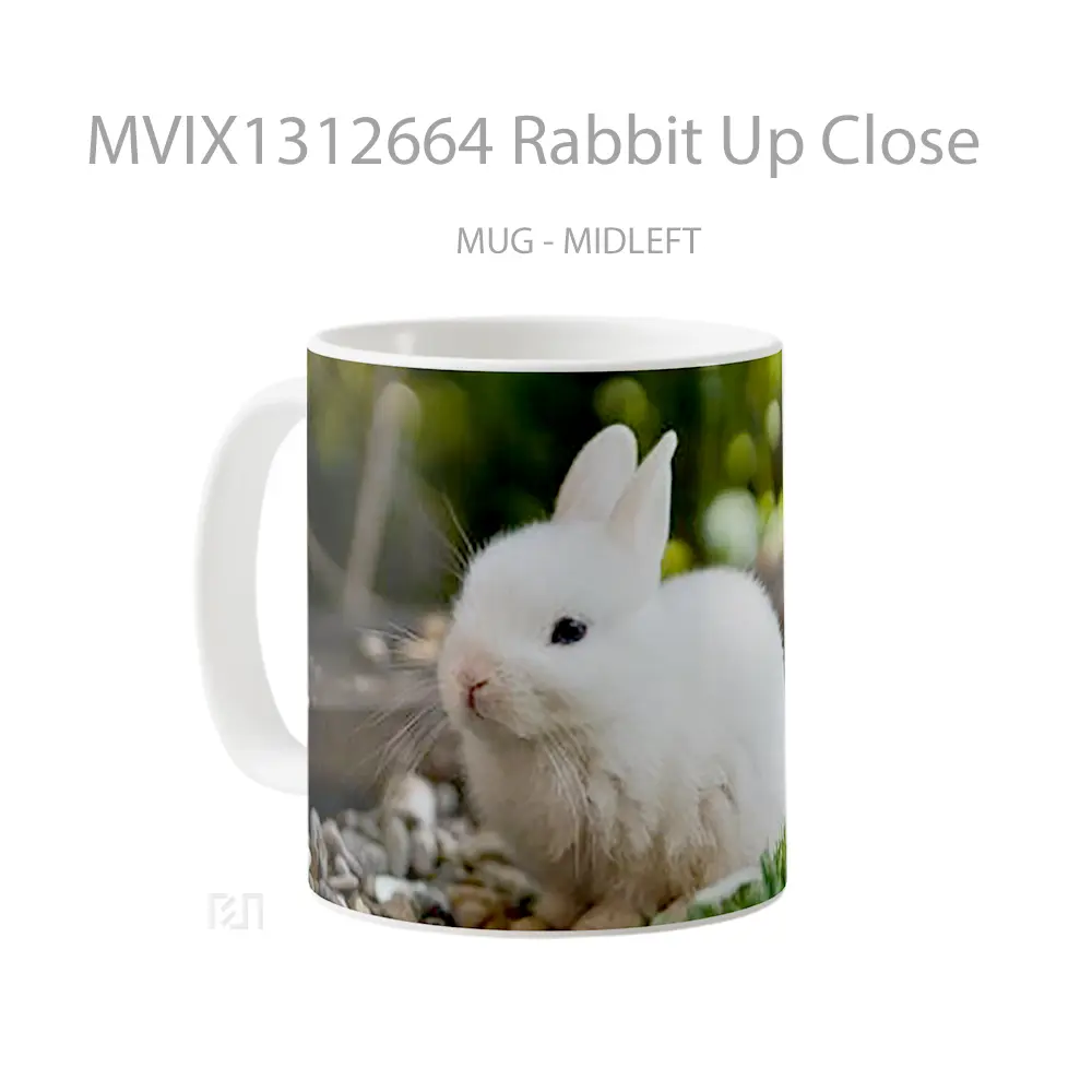 Mug Rabbit Up Close Gelas Hewan Lucu - All-side / Desain