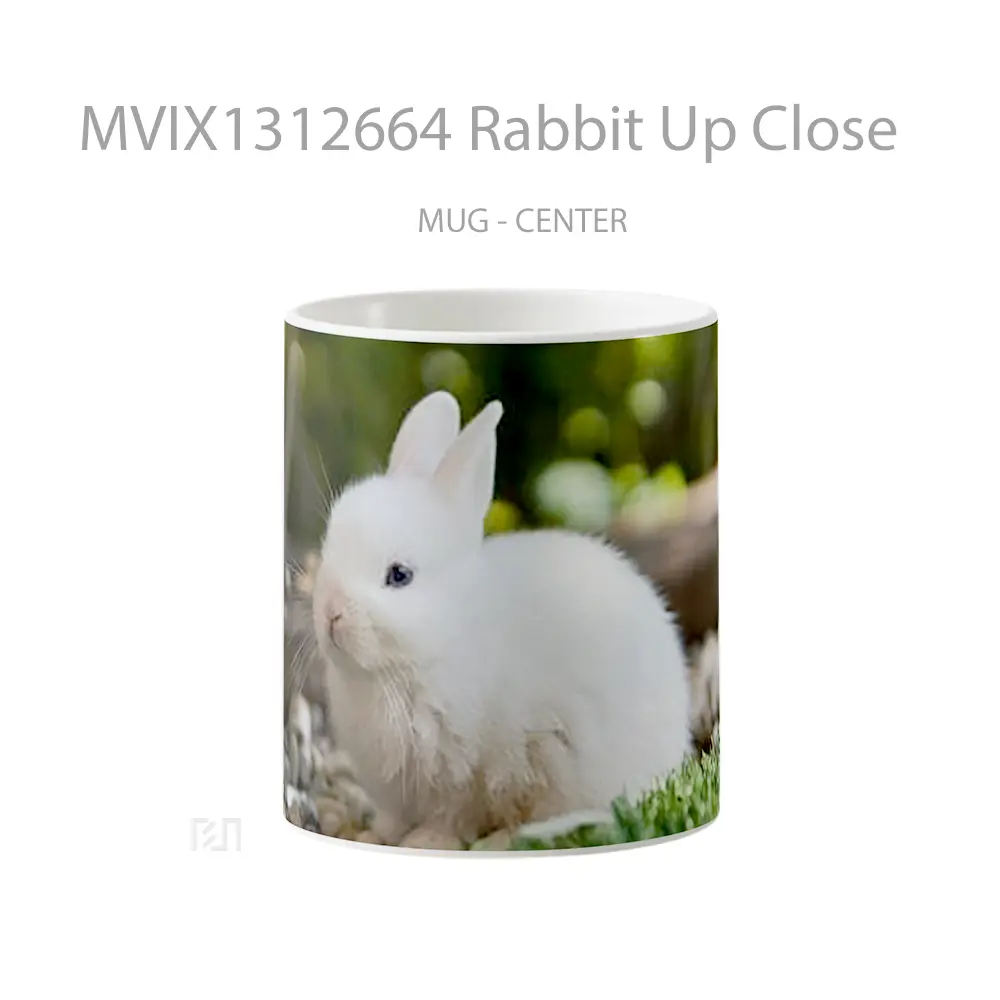 Mug Rabbit Up Close Gelas Hewan Lucu