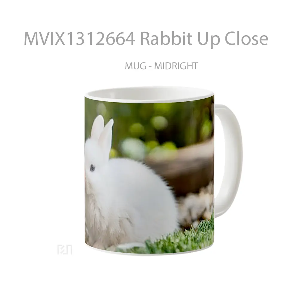 Mug Rabbit Up Close Gelas Hewan Lucu - All-side / Desain