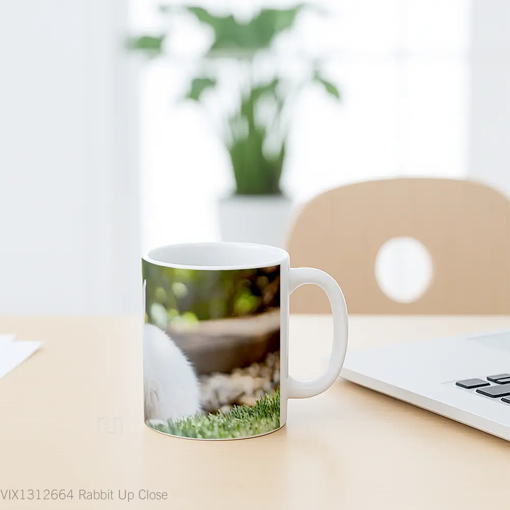 Mug Rabbit Up Close Gelas Hewan Lucu - All-side / Desain