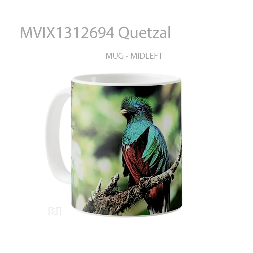 Mug Quetzal Gelas Keramik Unik - All-side / Desain