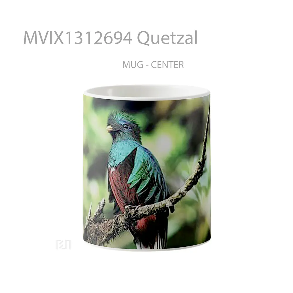 Mug Quetzal Gelas Keramik Unik