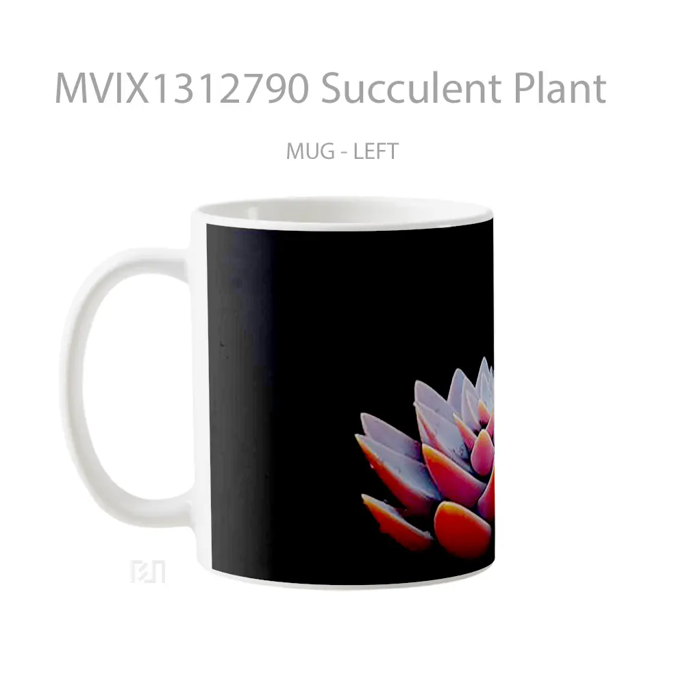 Mug Succulent Plant Gelas Keramik Unik - All-side / Desain