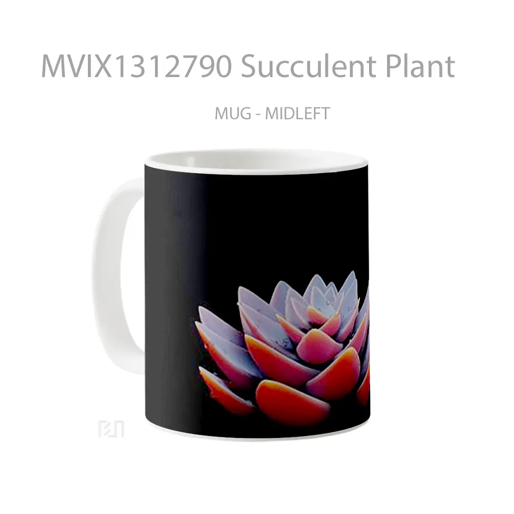 Mug Succulent Plant Gelas Keramik Unik - All-side / Desain