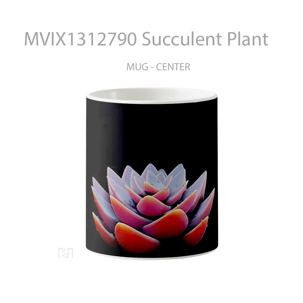 Mug Succulent Plant Gelas Keramik Unik